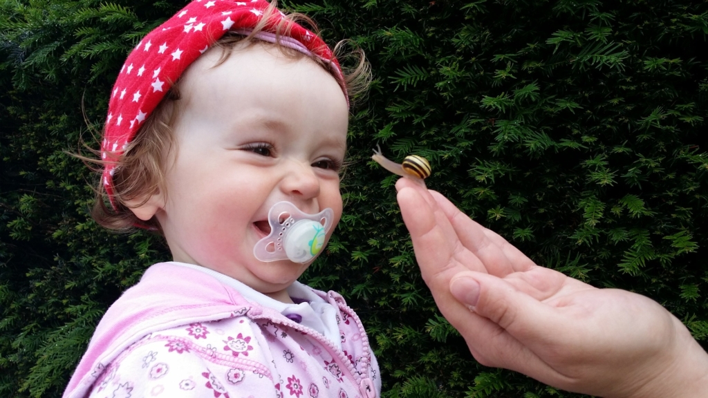 pacifier and infant tooth care